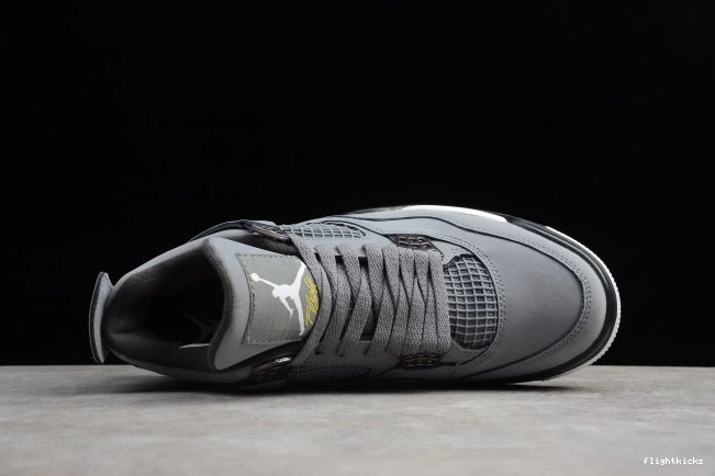 4 Retro Grey Cool (2019) 308497-007 Air Jordan 0713